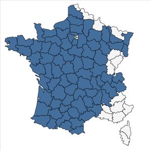 Répartition de Valerianella dentata f. rimosa (Bastard) Devesa, J.López & R.Gonzalo en France