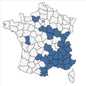 Répartition de Neslia paniculata (L.) Desv. en France