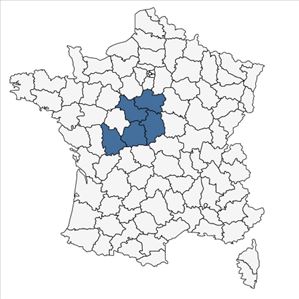 Répartition de Ajuga pyramidalis var. meonantha Hoffmanns. & Link en France