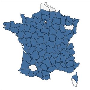 Répartition de Clinopodium nepeta subsp. sylvaticum (Bromf.) Peruzzi & F.Conti en France