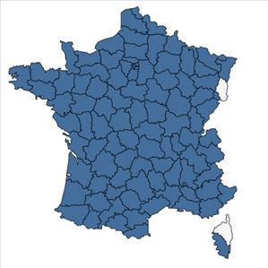 Répartition de Lolium arundinaceum (Schreb.) Darbysh. en France