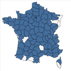 Répartition de Oxybasis rubra (L.) S.Fuentes, Uotila & Borsch en France