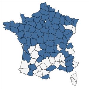 Répartition de Oxybasis glauca (L.) S.Fuentes, Uotila & Borsch en France