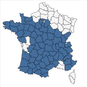 Répartition de Thymus polytrichus A.Kern. ex Borbás en France