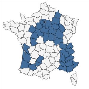 Répartition de Convolvulus sepium L. var. sepium en France