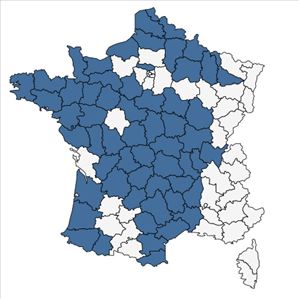 Répartition de Ranunculus hederaceus L. en France