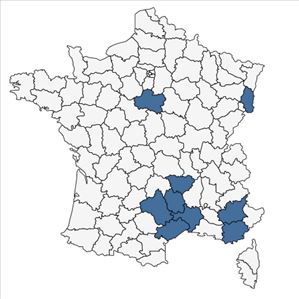 Répartition de Adonis vernalis L. en France