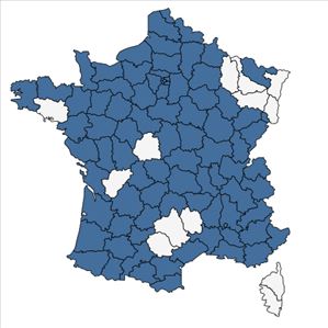 Répartition de Brassica napus L. en France