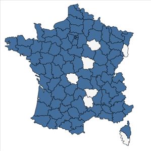 Répartition de Brassica nigra (L.) W.D.J.Koch en France