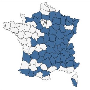 Répartition de Bromopsis benekenii (Lange) Holub en France