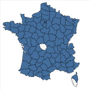 Répartition de Bromopsis erecta (Huds.) Fourr. en France