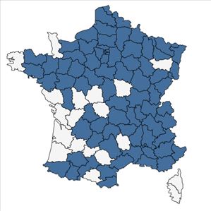 Répartition de Bromopsis inermis (Leyss.) Holub en France