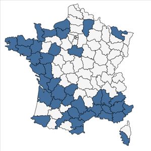 Répartition de Alopecurus bulbosus Gouan en France