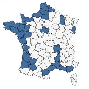 Répartition de Bromus hordeaceus subsp. thominei (Hardouin) Braun-Blanq. en France