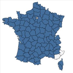 Répartition de Bromus racemosus L. en France