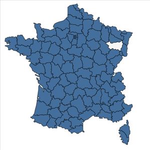 Répartition de Buddleja davidii Franch. en France