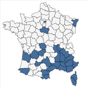 Répartition de Anisantha rubens (L.) Nevski en France