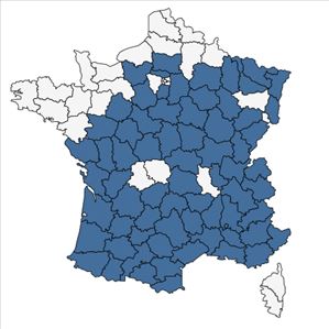 Répartition de Buglossoides purpurocaerulea (L.) I.M.Johnst. en France
