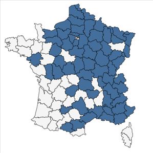 Répartition de Bunias orientalis L. en France