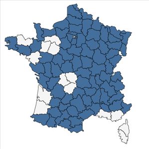 Répartition de Bupleurum falcatum L. en France