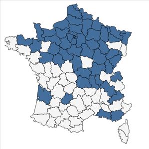 Répartition de Armoracia rusticana G.Gaertn., B.Mey. & Scherb. en France