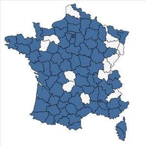 Répartition de Calendula arvensis L. en France