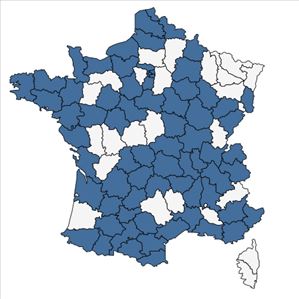 Répartition de Calendula officinalis L. en France