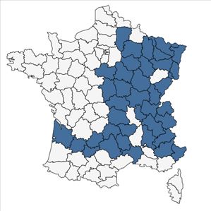 Répartition de Aster amellus L. en France