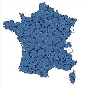 Répartition de Callitriche stagnalis Scop. en France
