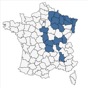 Répartition de Campanula cervicaria L. en France