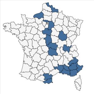 Répartition de Bassia scoparia (L.) Voss en France