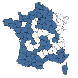 Répartition de Beta vulgaris L. en France