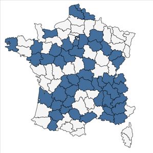 Répartition de Cannabis sativa L. en France