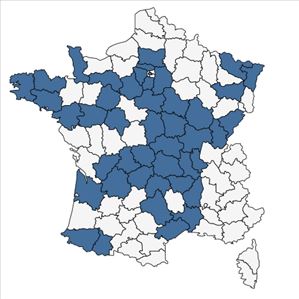 Répartition de Abies grandis (Douglas ex D.Don) Lindl. en France