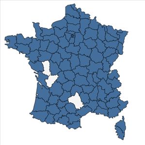 Répartition de Borago officinalis L. en France