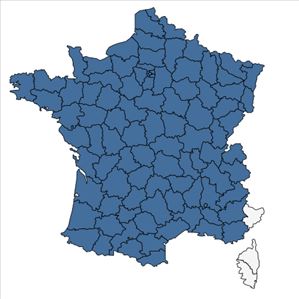 Répartition de Cardamine pratensis L. en France