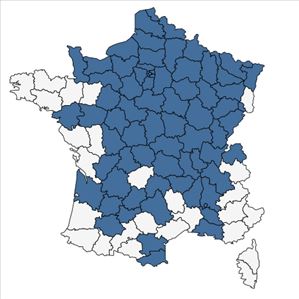 Répartition de Carduus crispus L. en France