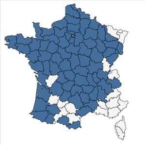 Répartition de Callitriche hamulata Kütz. ex W.D.J.Koch en France