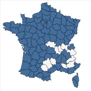 Répartition de Callitriche obtusangula Le Gall en France