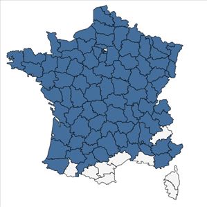 Répartition de Carex acuta L. en France