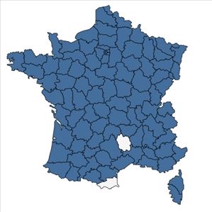 Répartition de Carex acutiformis Ehrh. en France