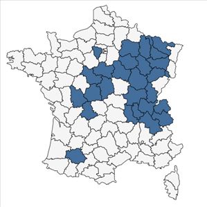 Répartition de Carex bohemica Schreb. en France