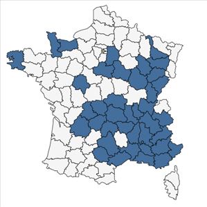 Répartition de Abies nordmanniana (Steven) Spach en France