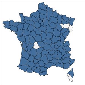 Répartition de Carex otrubae Podp. en France