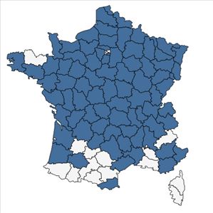 Répartition de Carex disticha Huds. en France