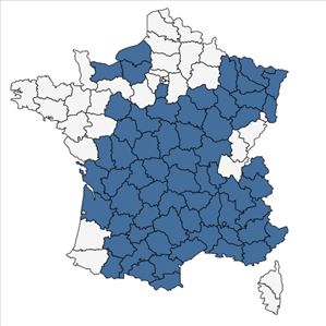 Répartition de Caucalis platycarpos L. [1753] en France