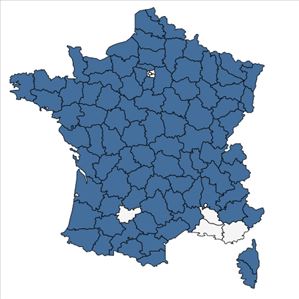 Répartition de Carex echinata Murray en France