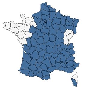 Répartition de Carex flacca Schreb. en France