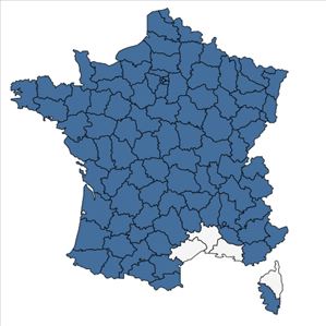 Répartition de Carex flacca Schreb. subsp. flacca en France