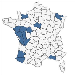 Répartition de Cerastium dubium (Bastard) Guépin en France